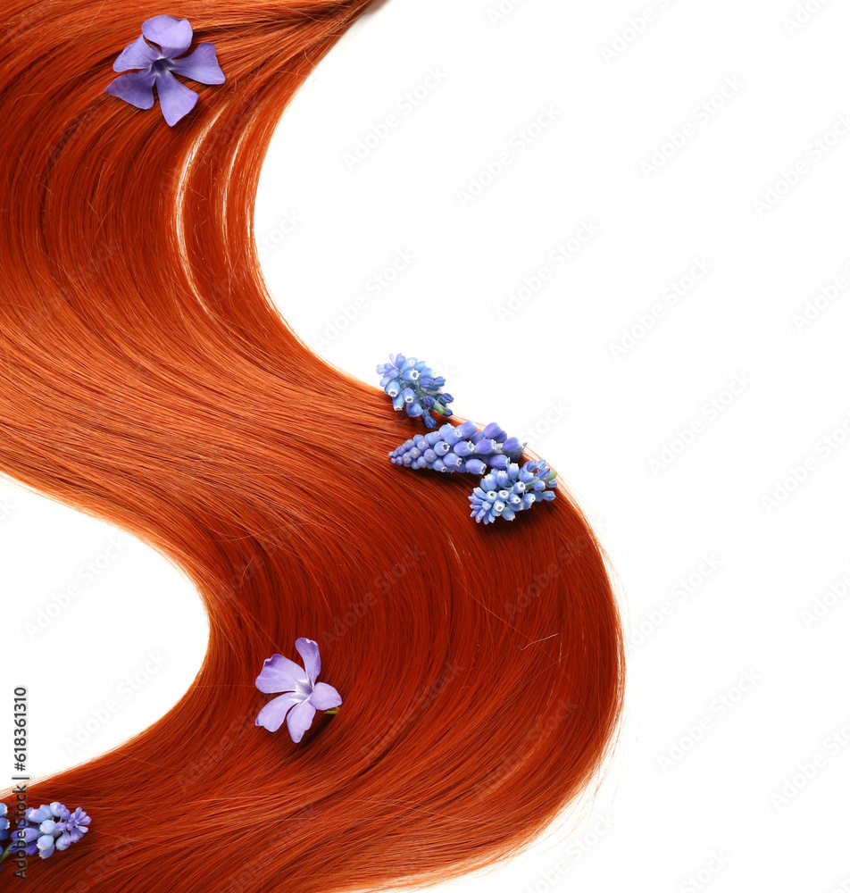 Ginger hair strand with spring flowers on white background, closeup