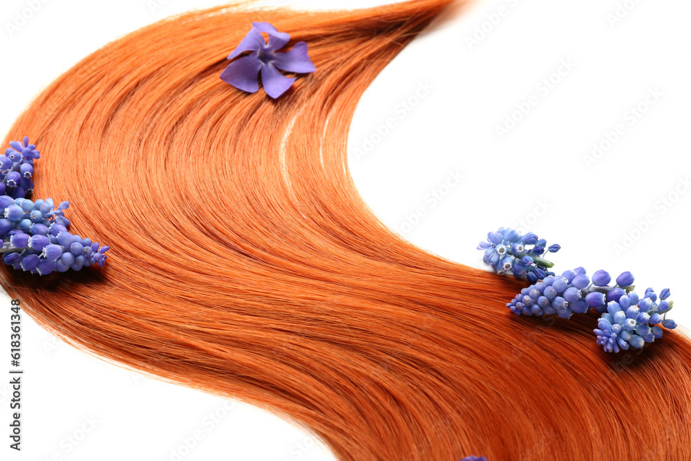 Ginger hair strand with spring flowers on white background, closeup