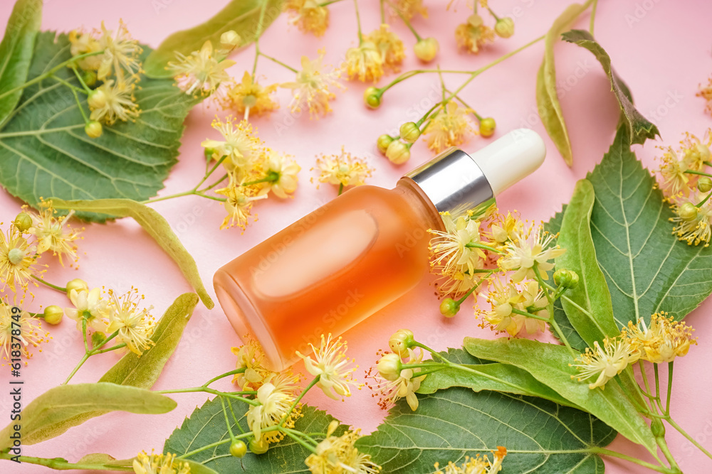 Bottle of essential oil and fresh linden flowers on pink background