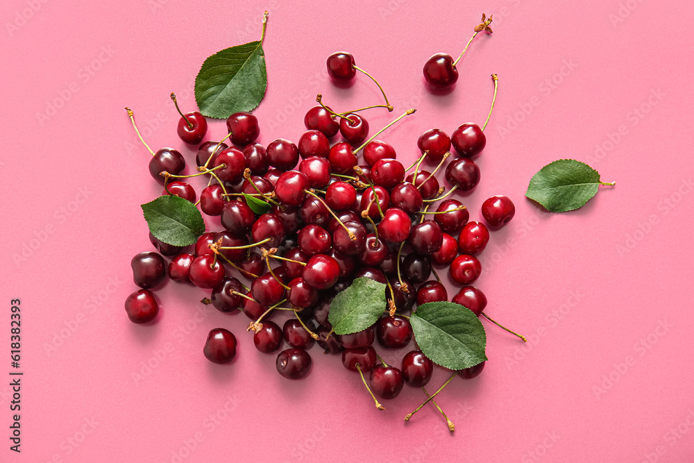 Heap of sweet cherries and leaves on pink background