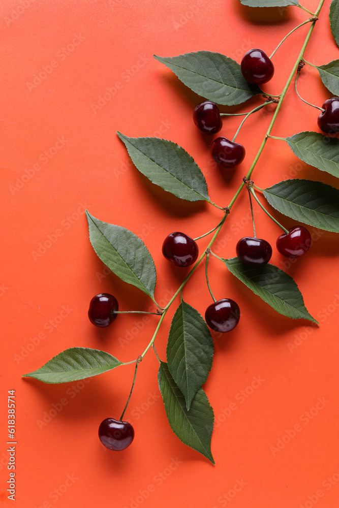 Tree branch with leaves and sweet cherries on orange background