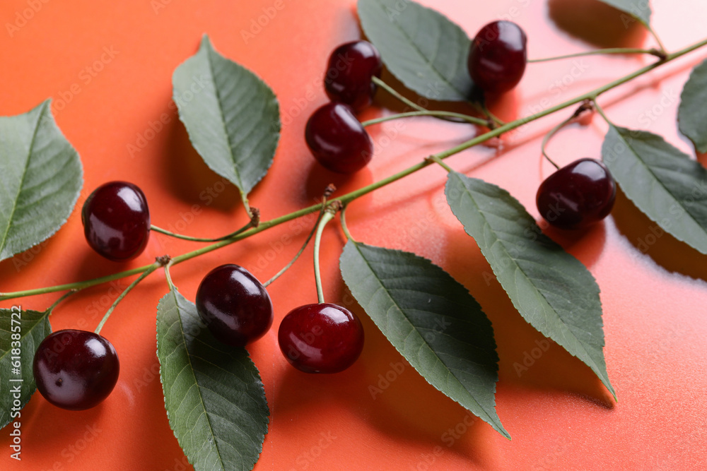 Tree branch with leaves and sweet cherries on orange background