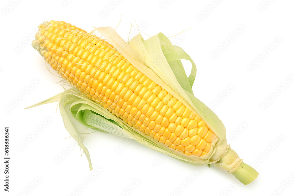 Fresh corn cob on white background