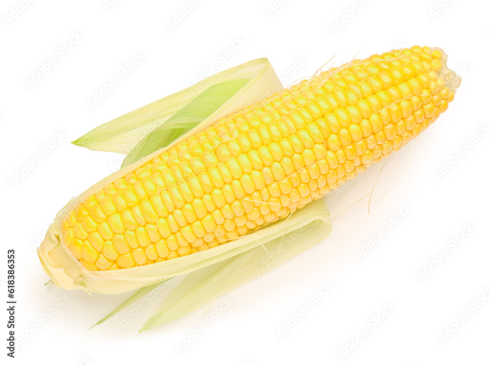 Fresh corn cob on white background