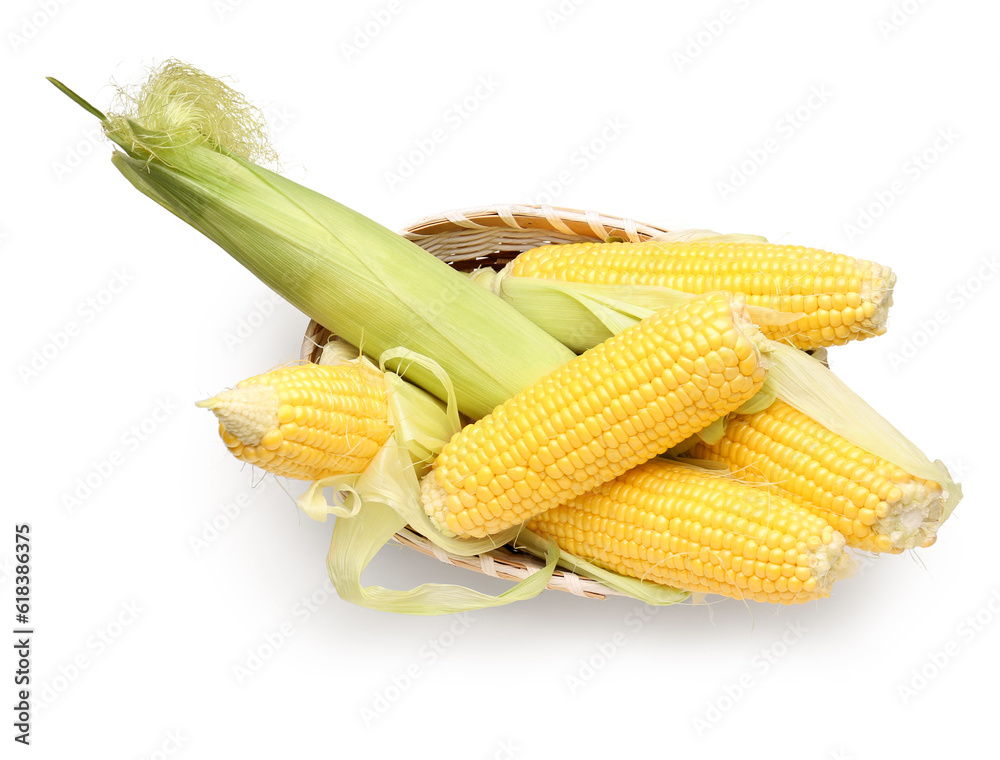 Wicker bowl with fresh corn cobs on white background