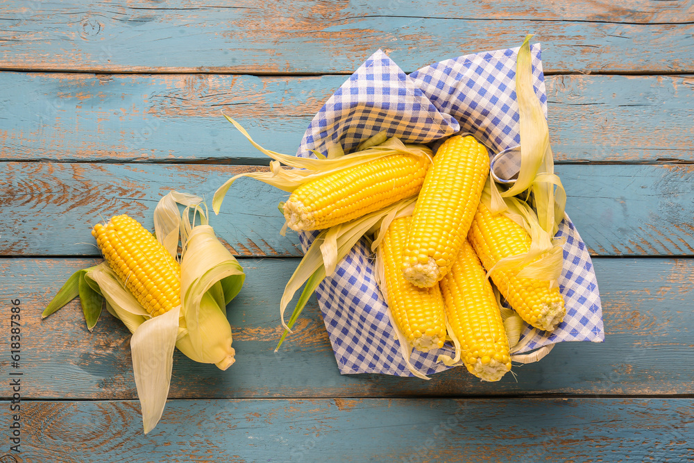 Basket with fresh corn cobs on blue wooden background