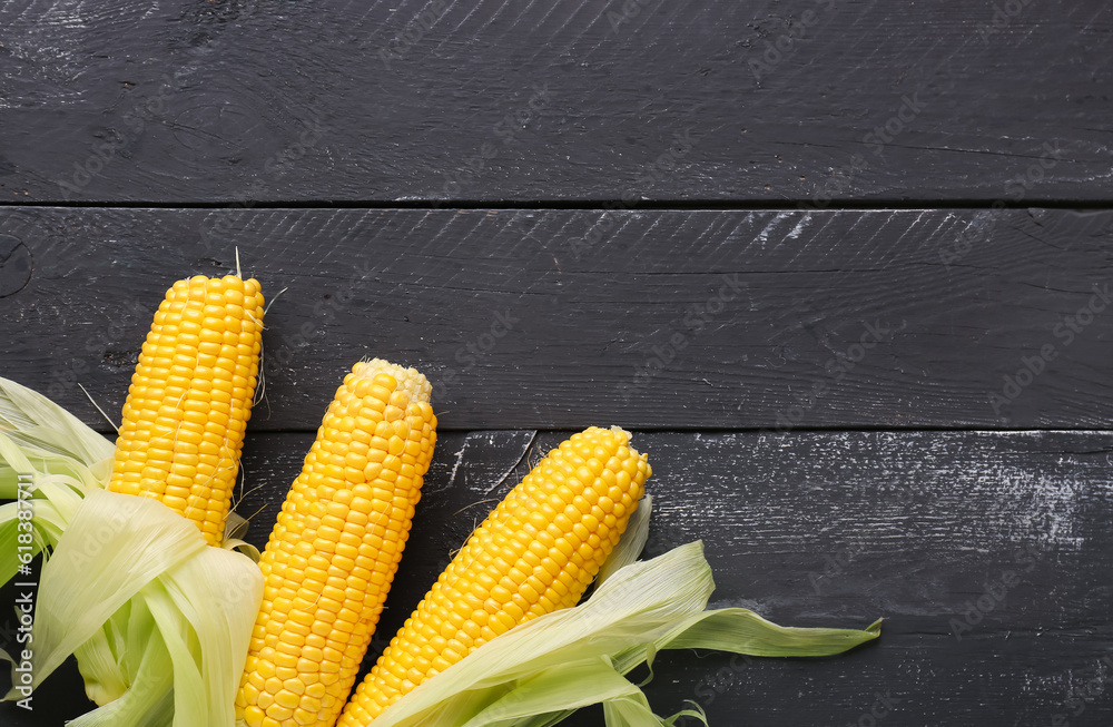 Fresh corn cobs on black wooden background