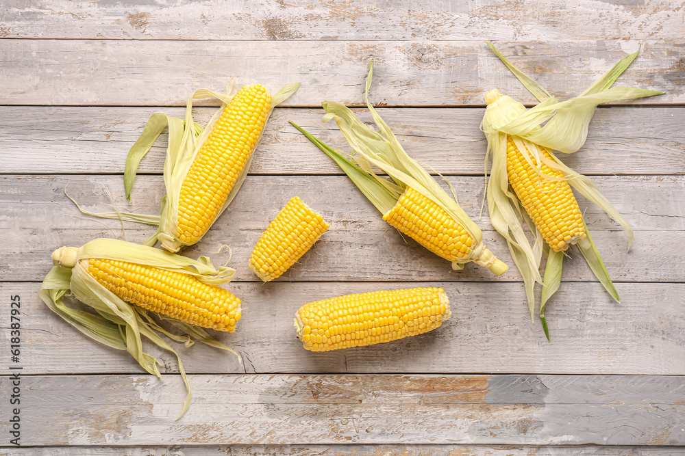 Fresh corn cobs on grey wooden background