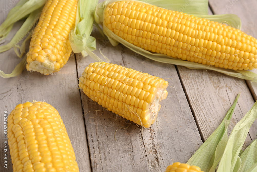 Fresh corn cobs on grey wooden background