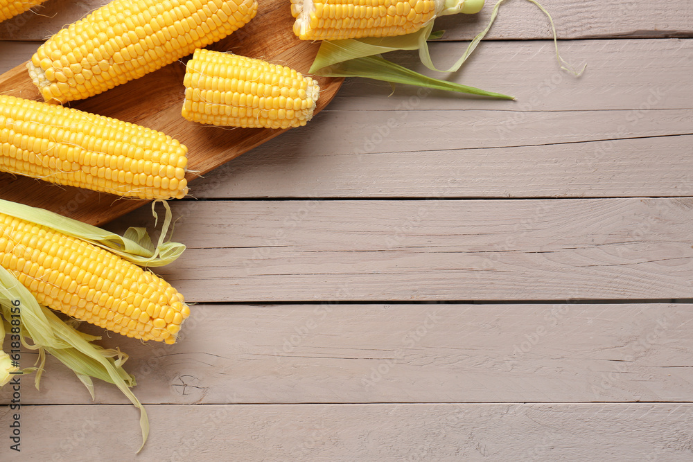 Board with fresh corn cobs on grey wooden background