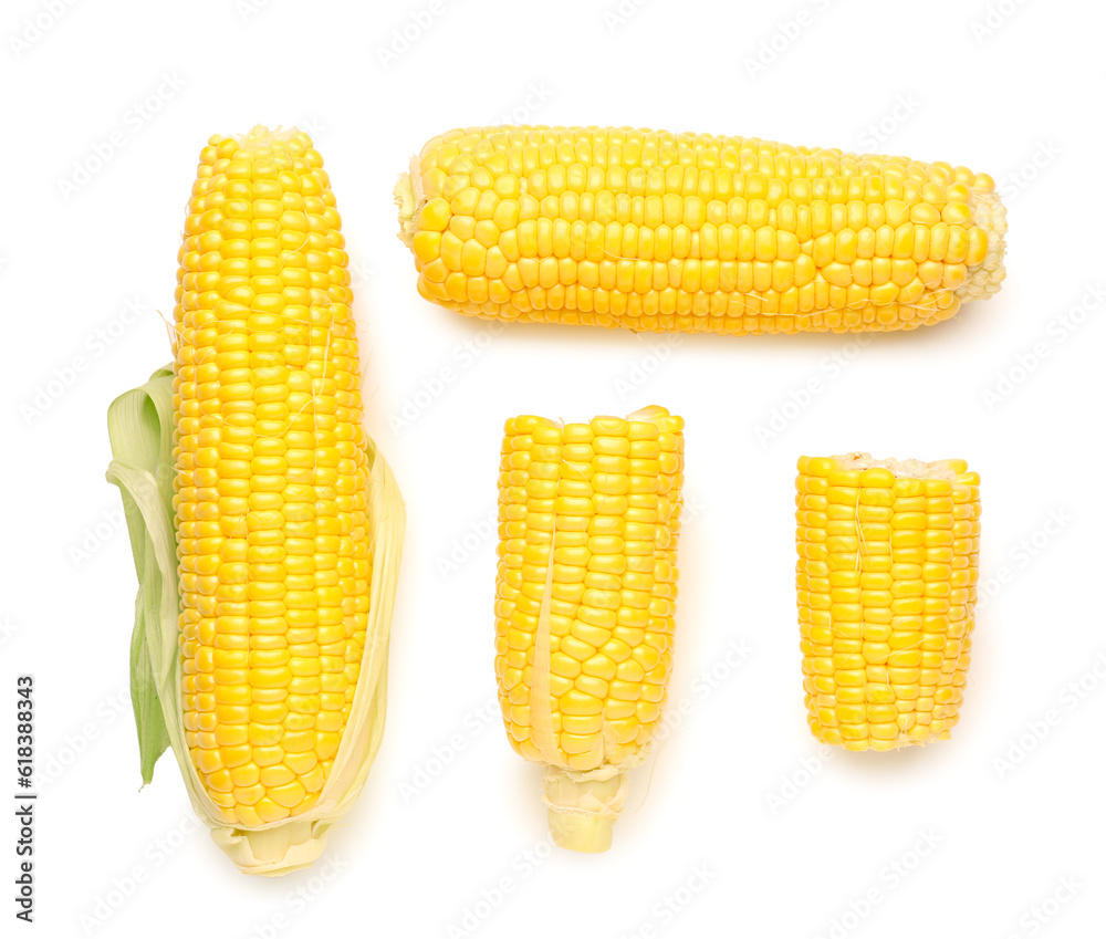 Fresh corn cobs on white background