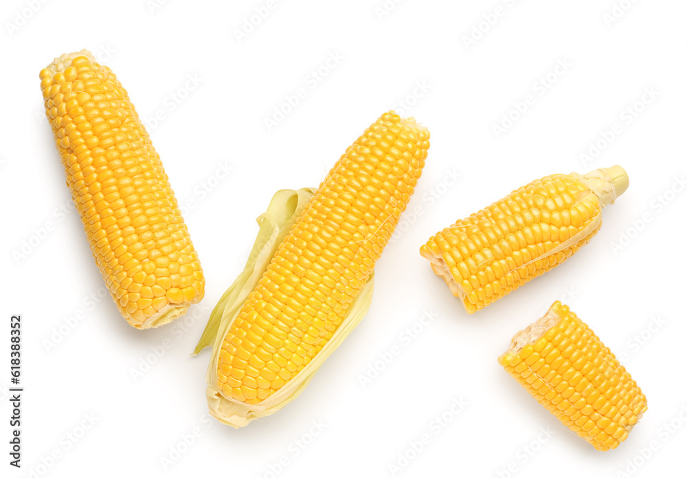 Fresh corn cobs on white background