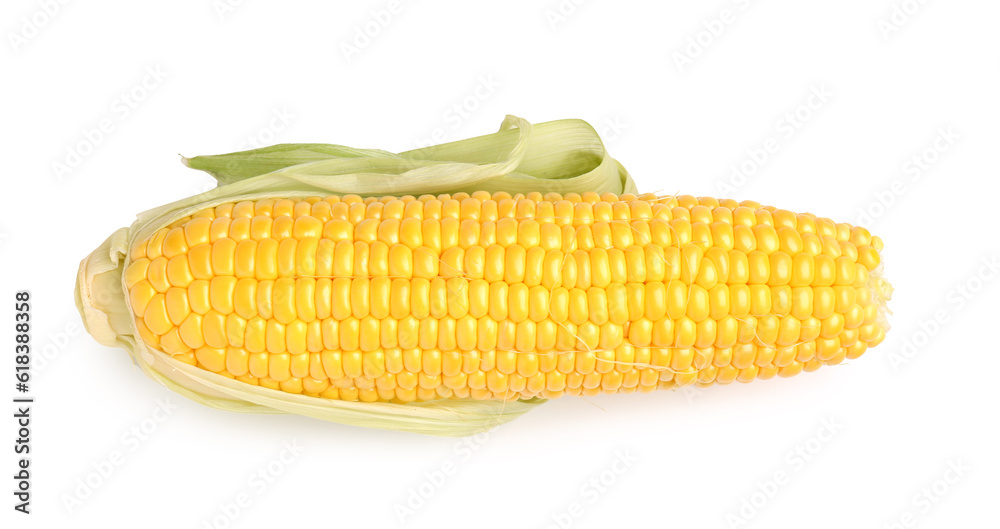 Fresh corn cob on white background