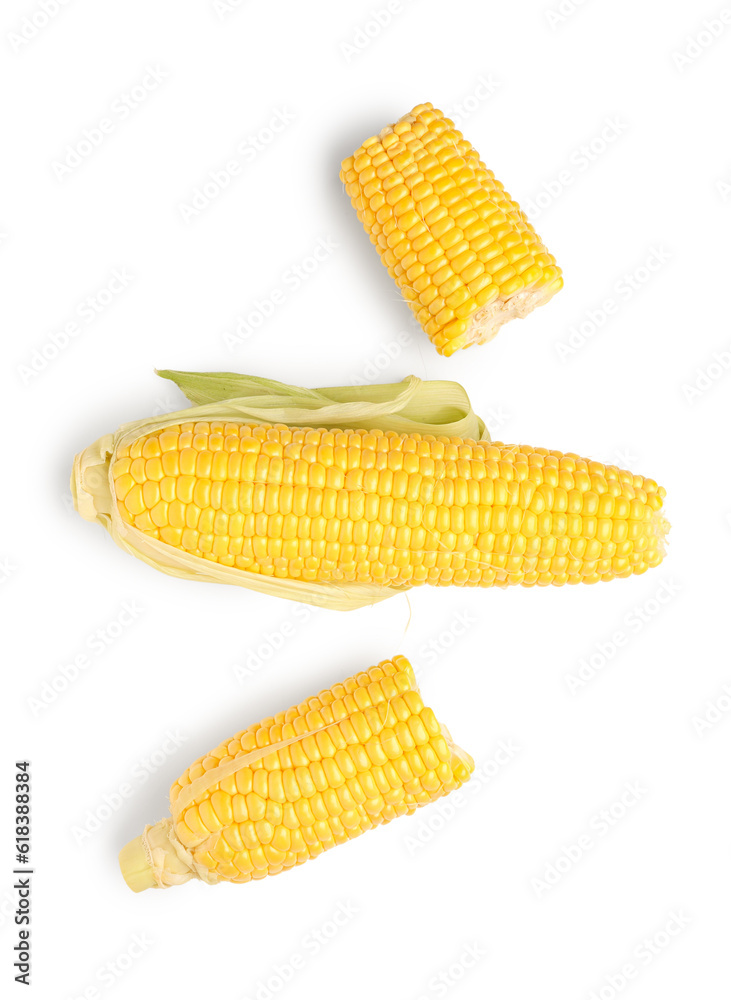 Fresh corn cobs on white background