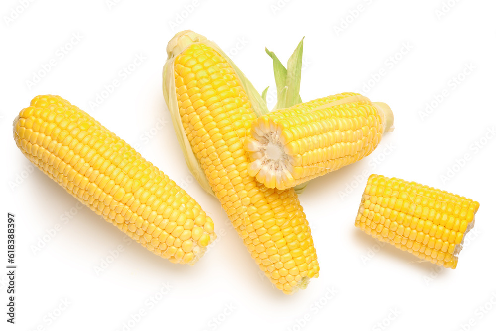 Fresh corn cobs on white background