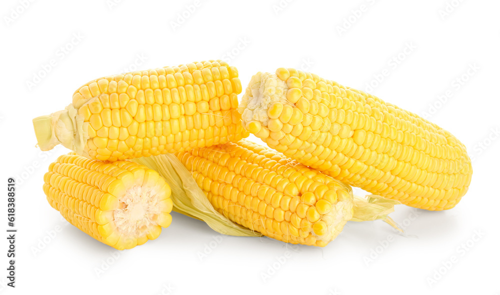 Fresh corn cobs on white background