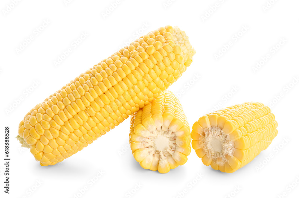 Fresh corn cobs on white background