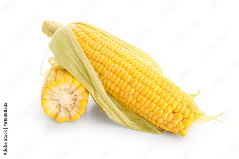 Fresh corn cobs on white background