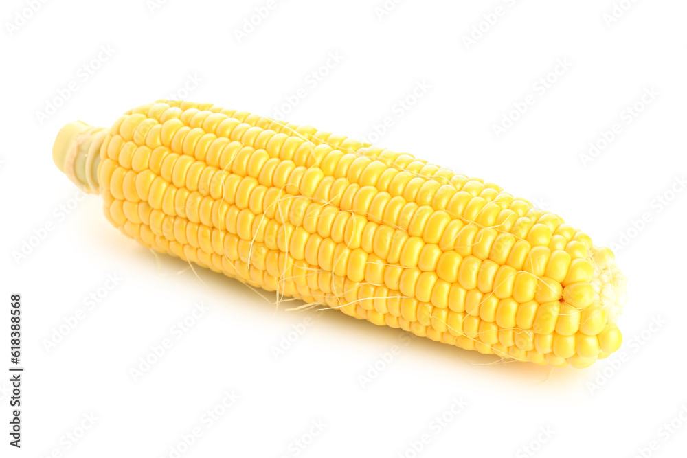 Fresh corn cob on white background