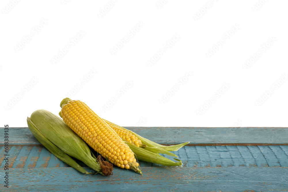 Fresh corn cobs on blue wooden table against white background