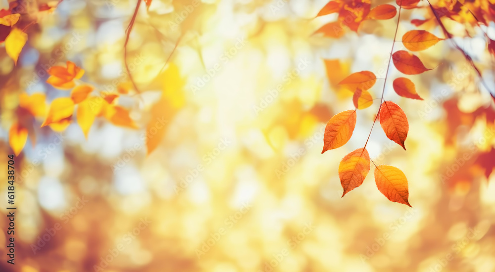 Beautiful orange and golden autumn leaves against a blurry park in sunlight with beautiful bokeh. Na