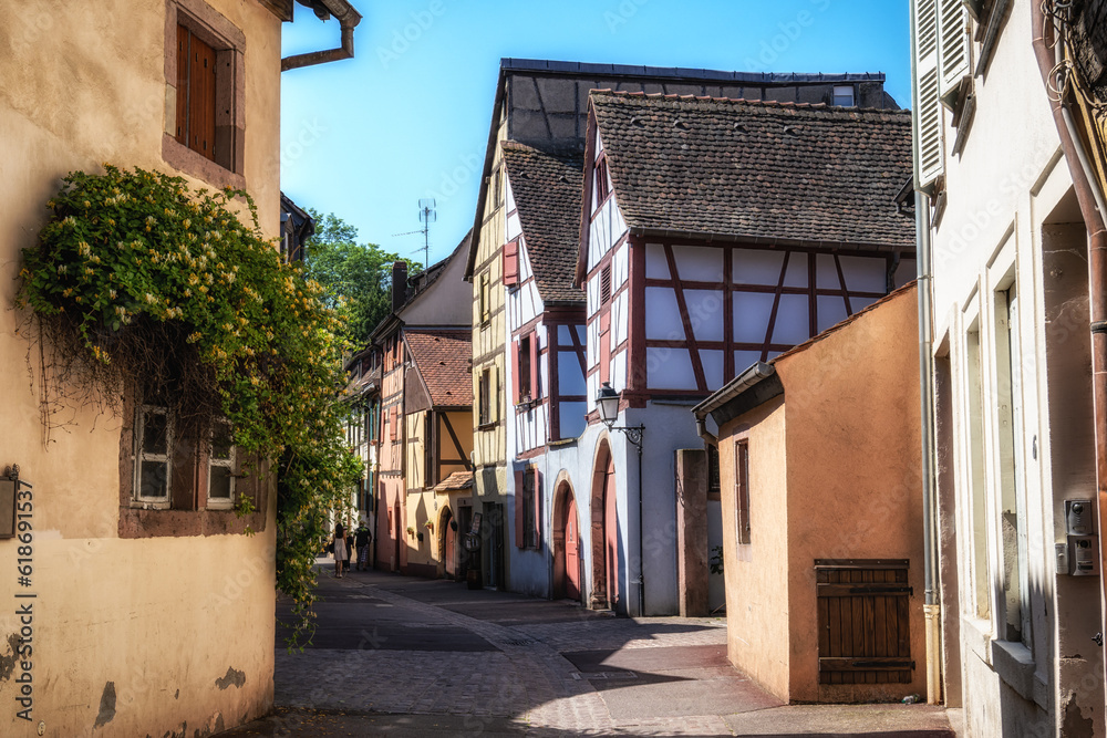 Alsatian half timbered houses in colmar