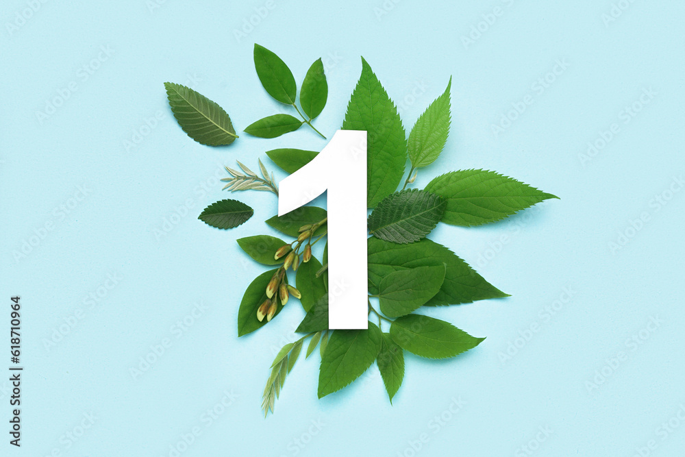 Green leaves with paper number one on blue background