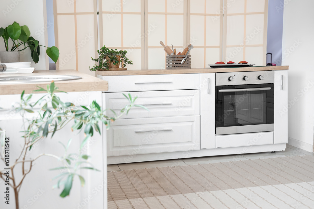 Interior of light kitchen with electric oven and white counters