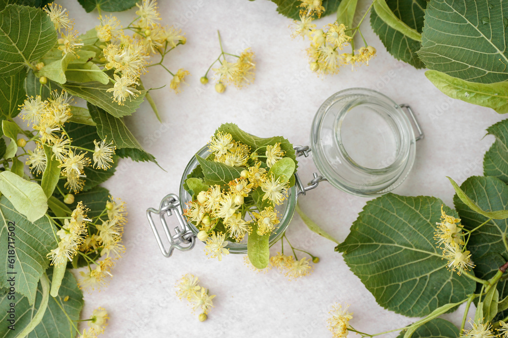 Glass jar with fresh linden flowers on light background