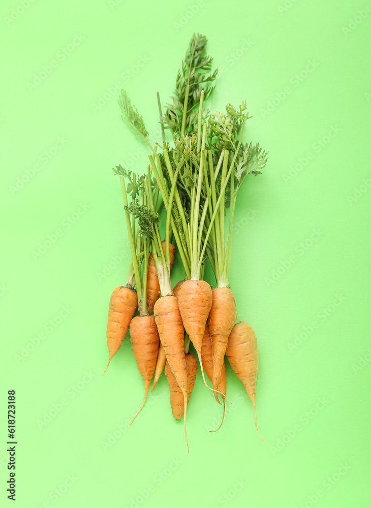 Many fresh carrots on green background