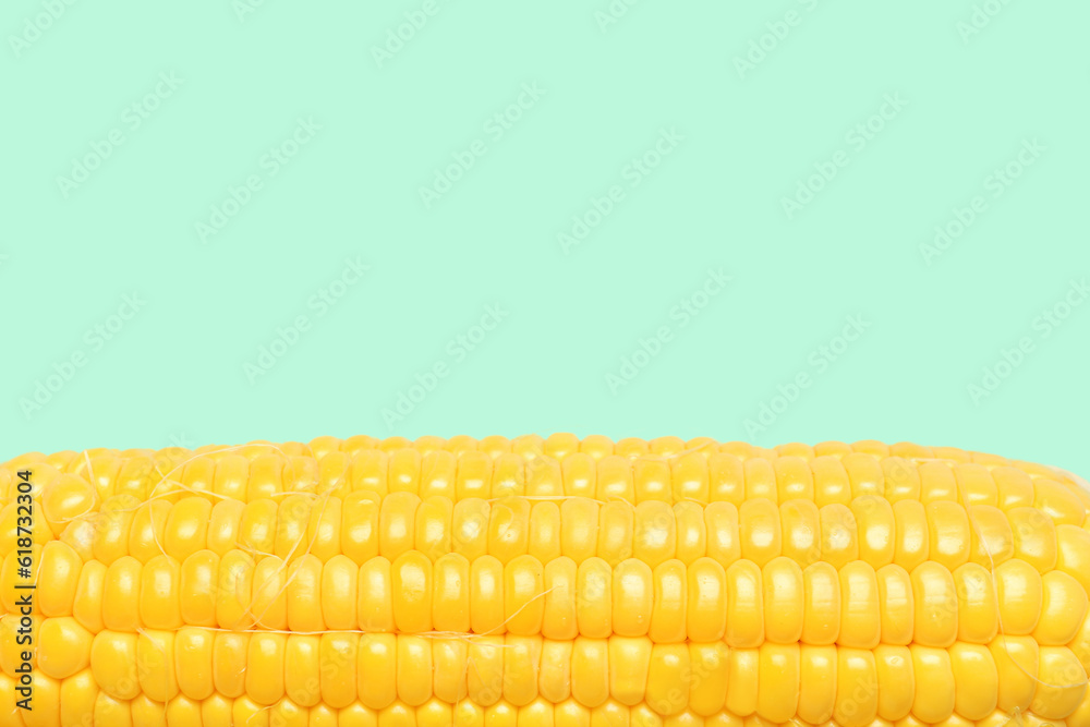 Fresh corn cob on turquoise background