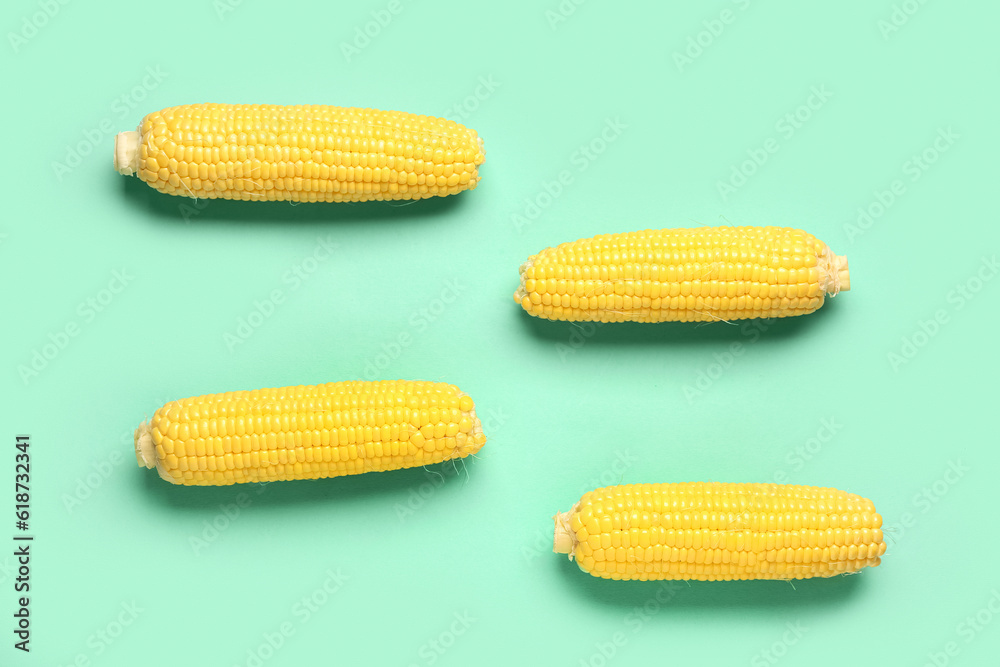 Fresh corn cobs on turquoise background