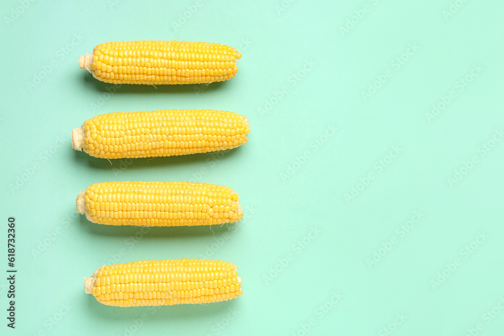 Fresh corn cobs on turquoise background