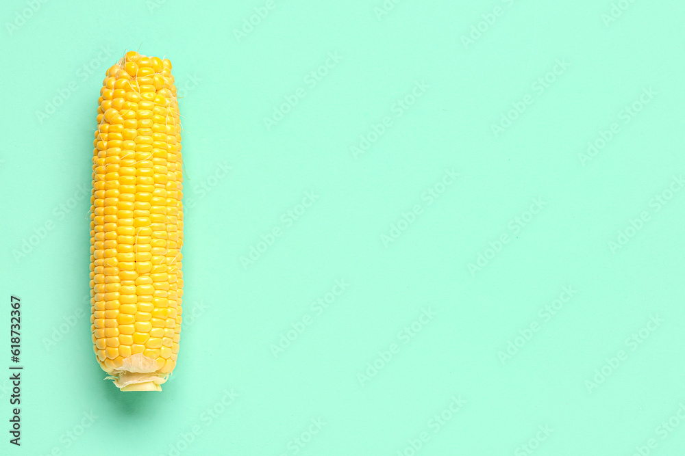 Fresh corn cob on turquoise background