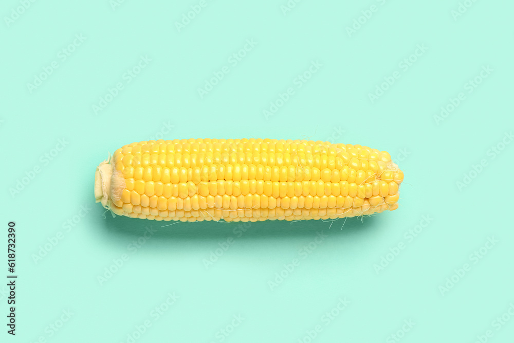 Fresh corn cob on turquoise background