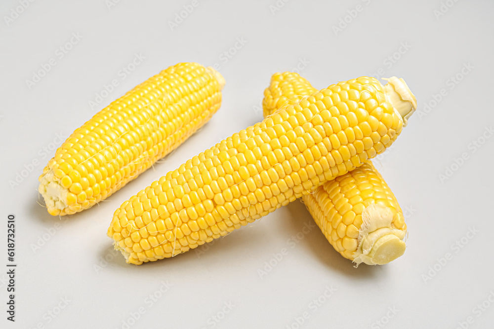 Fresh corn cobs on grey background