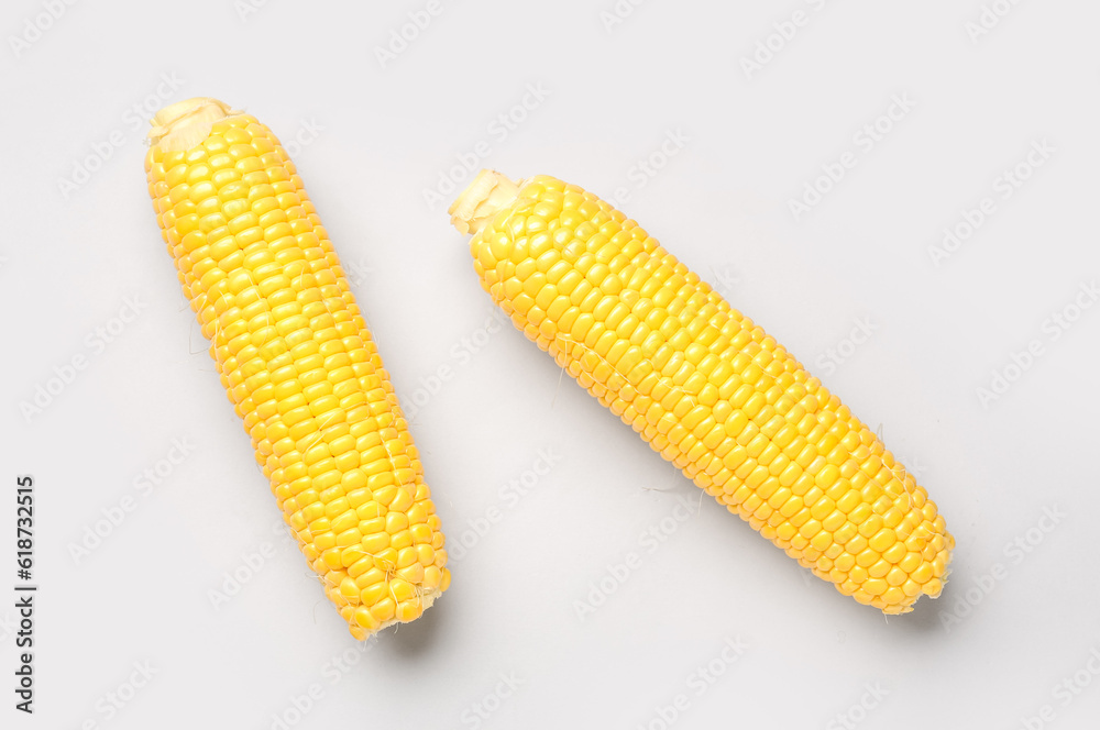 Fresh corn cobs on grey background