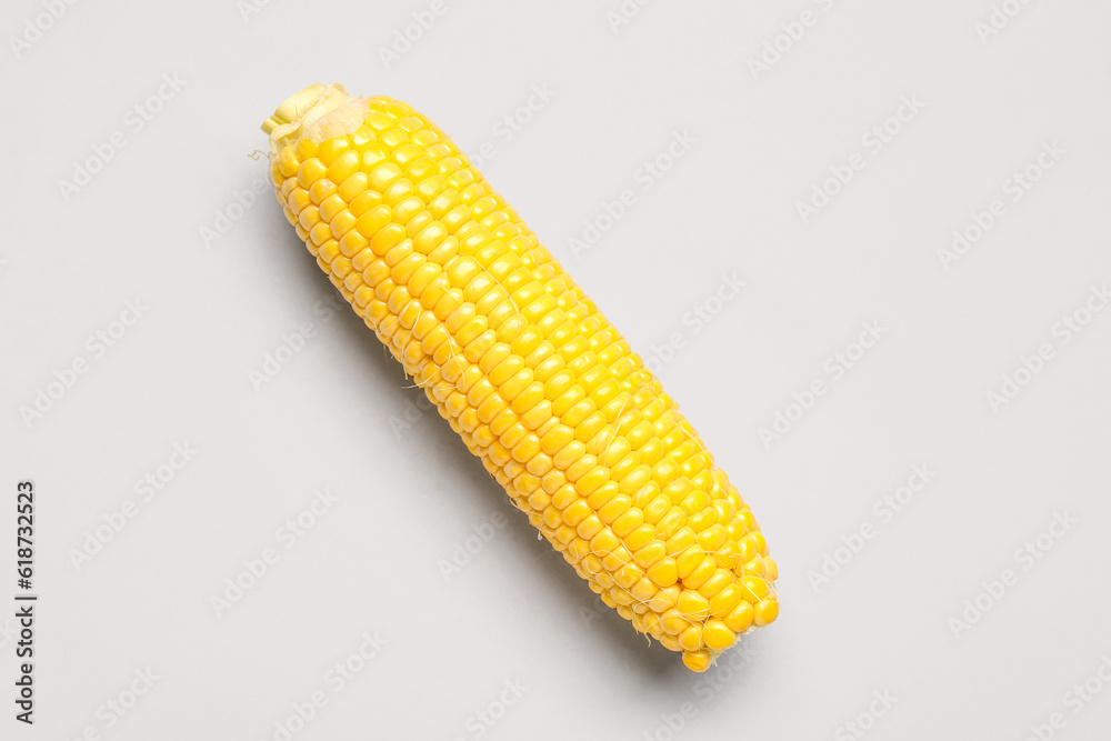 Fresh corn cob on grey background