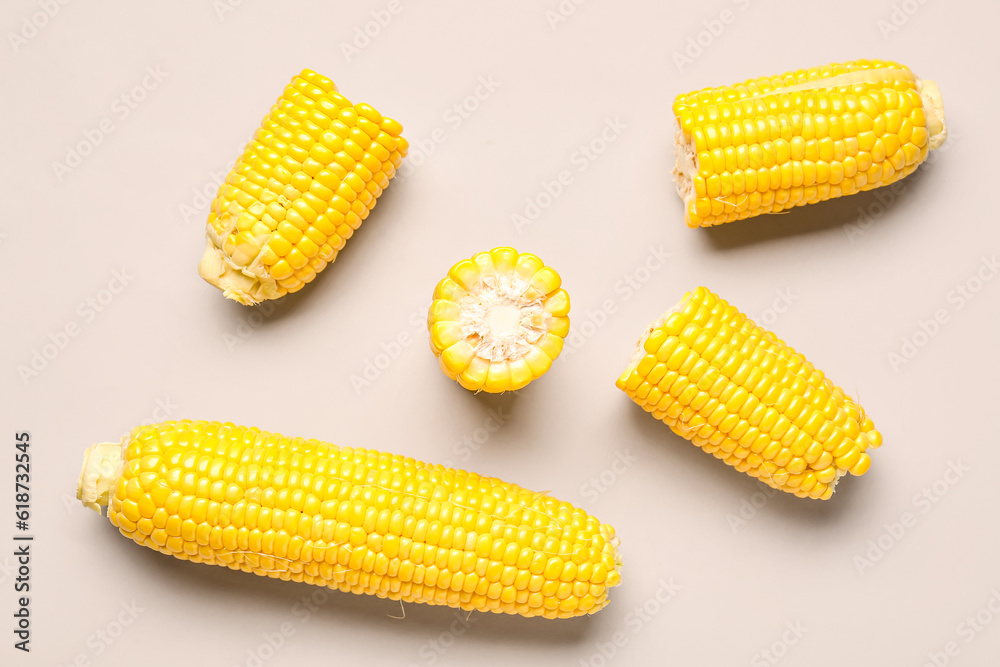 Fresh corn cobs on grey background