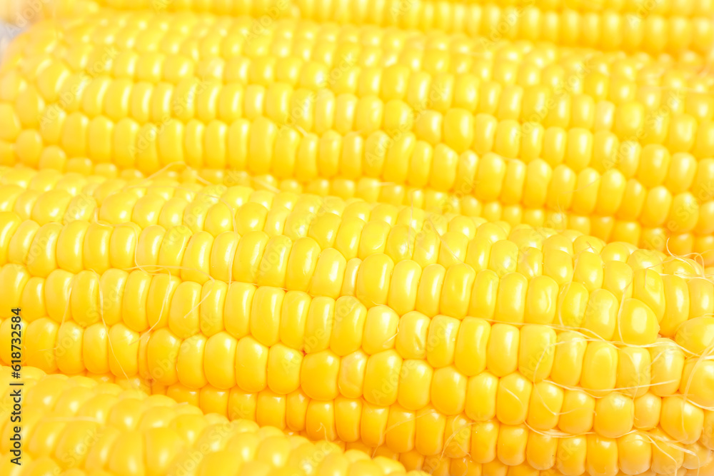 Texture of fresh corn cobs as background