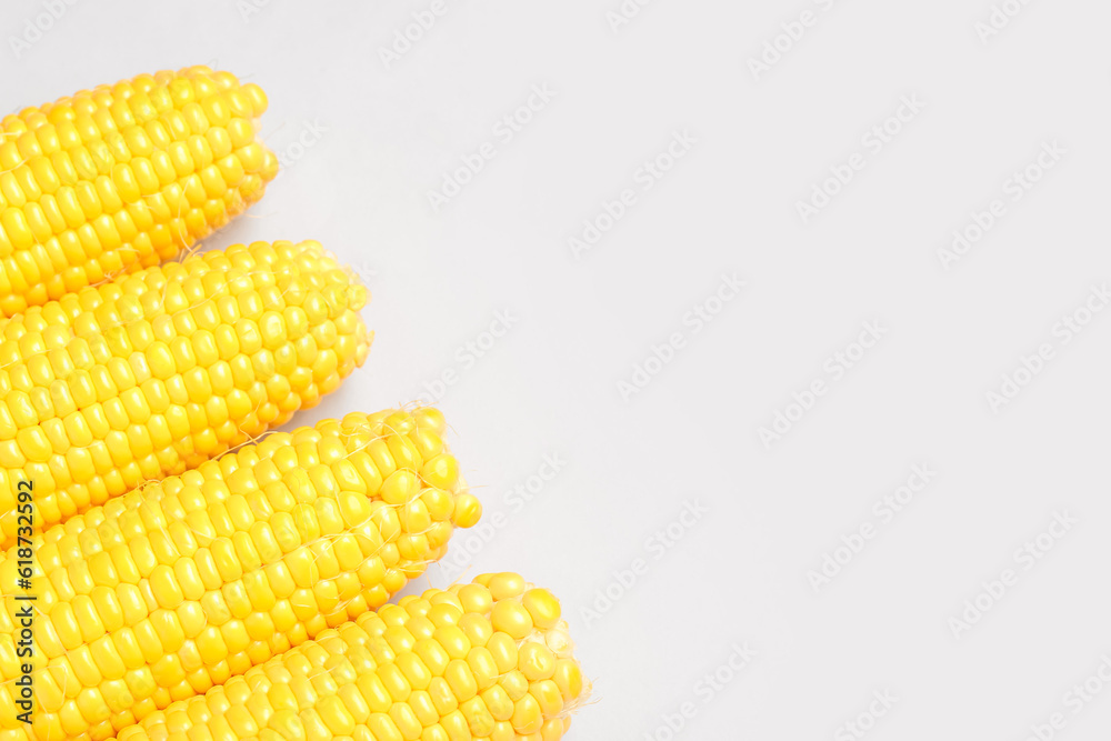 Fresh corn cobs on grey background