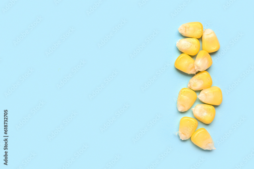 Fresh corn seeds on blue background