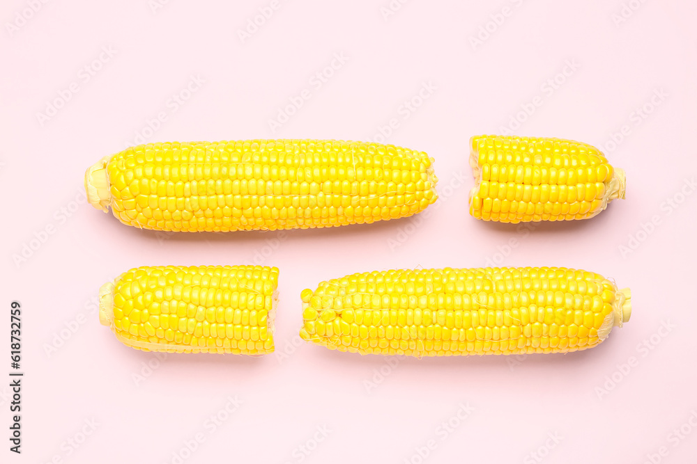 Fresh corn cobs on pink background