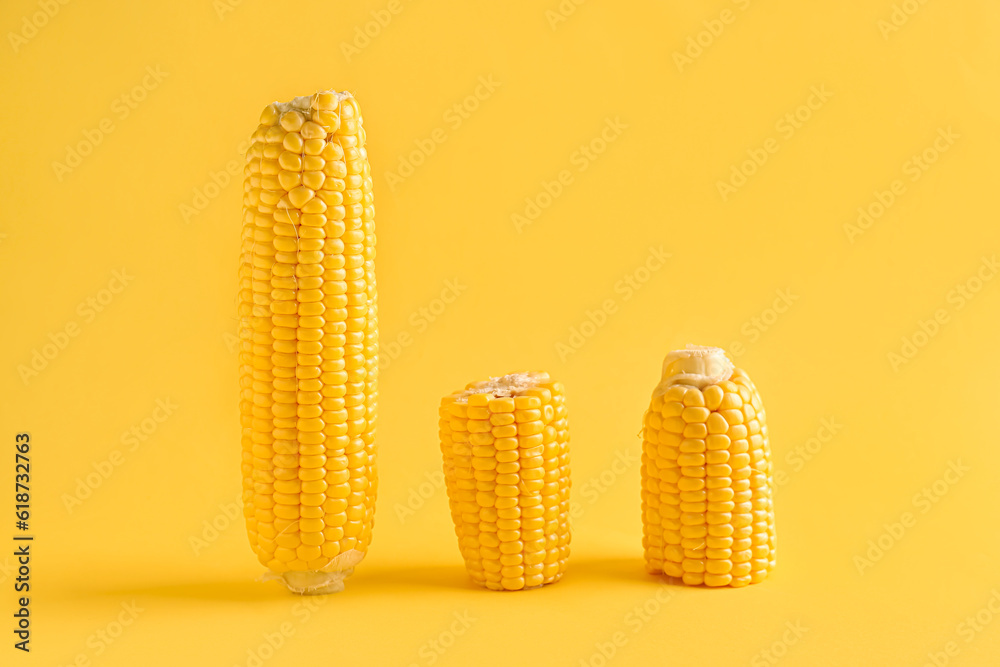 Fresh corn cobs on yellow background