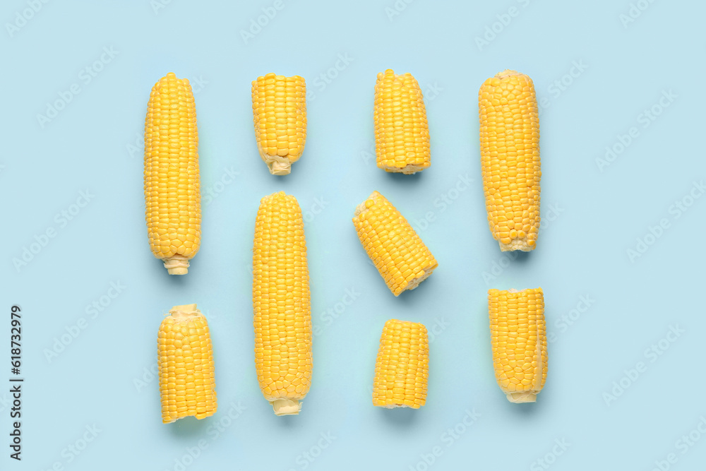 Fresh corn cobs on blue background