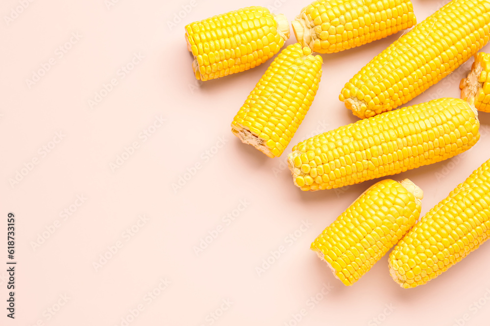 Fresh corn cobs on pink background