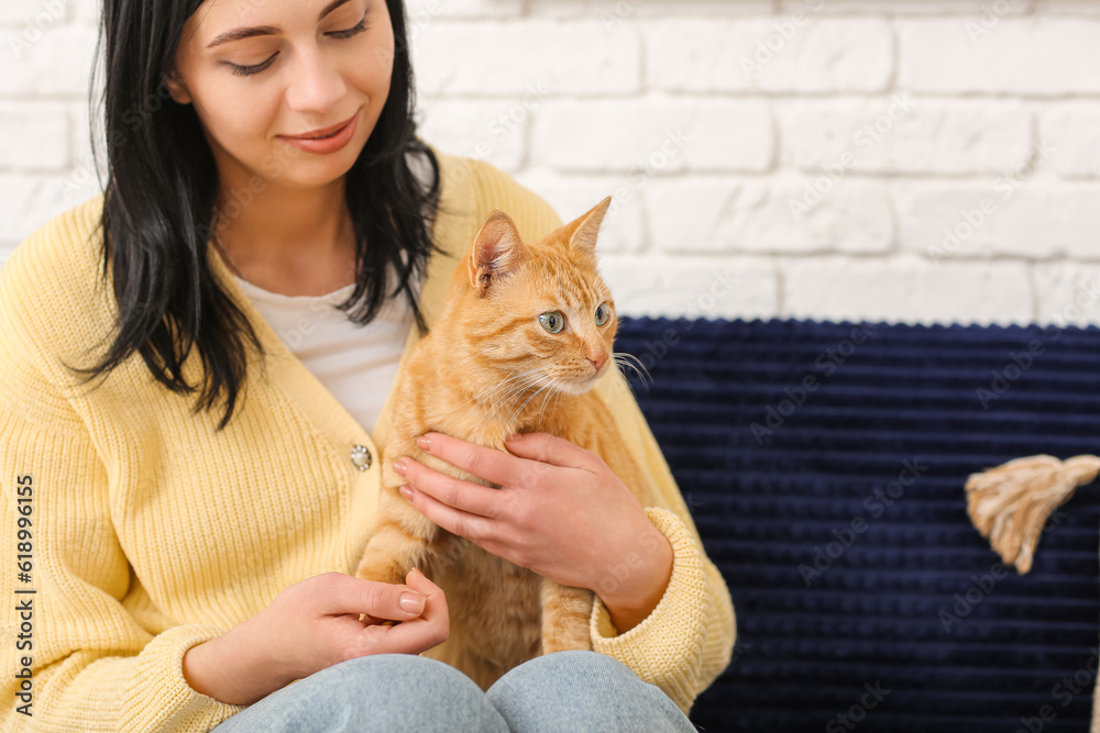 Woman with ginger cat sitting on sofa at home, closeup