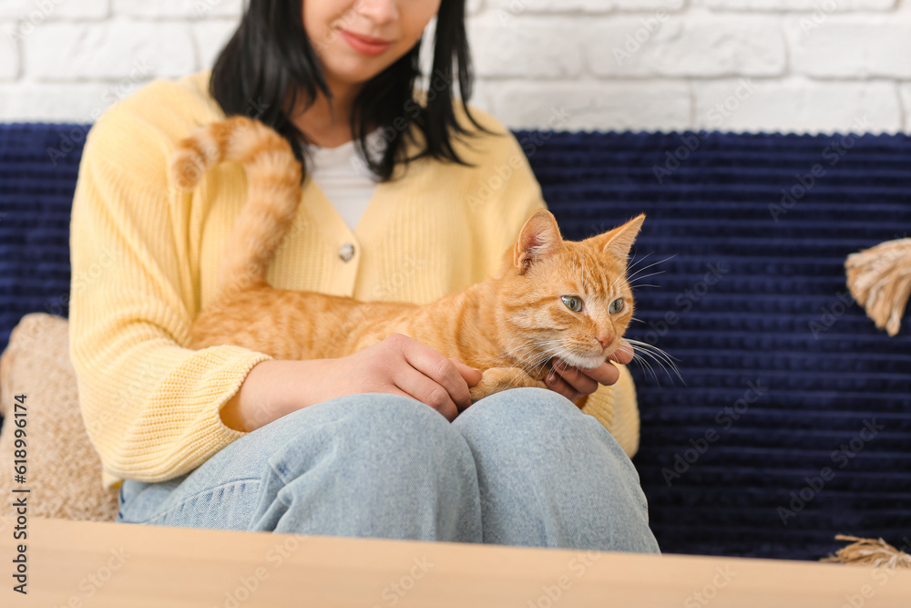 Woman with ginger cat sitting on sofa at home, closeup