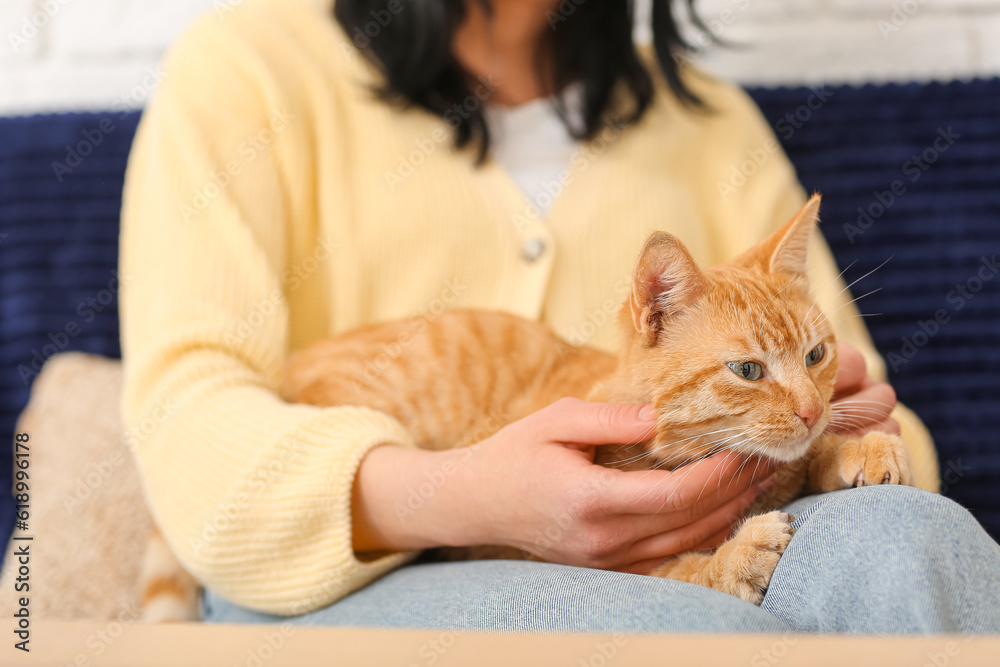 Woman with ginger cat sitting on sofa at home, closeup