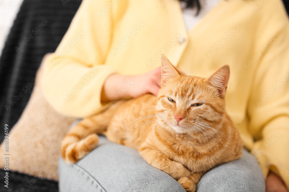 Woman with ginger cat sitting on sofa at home, closeup